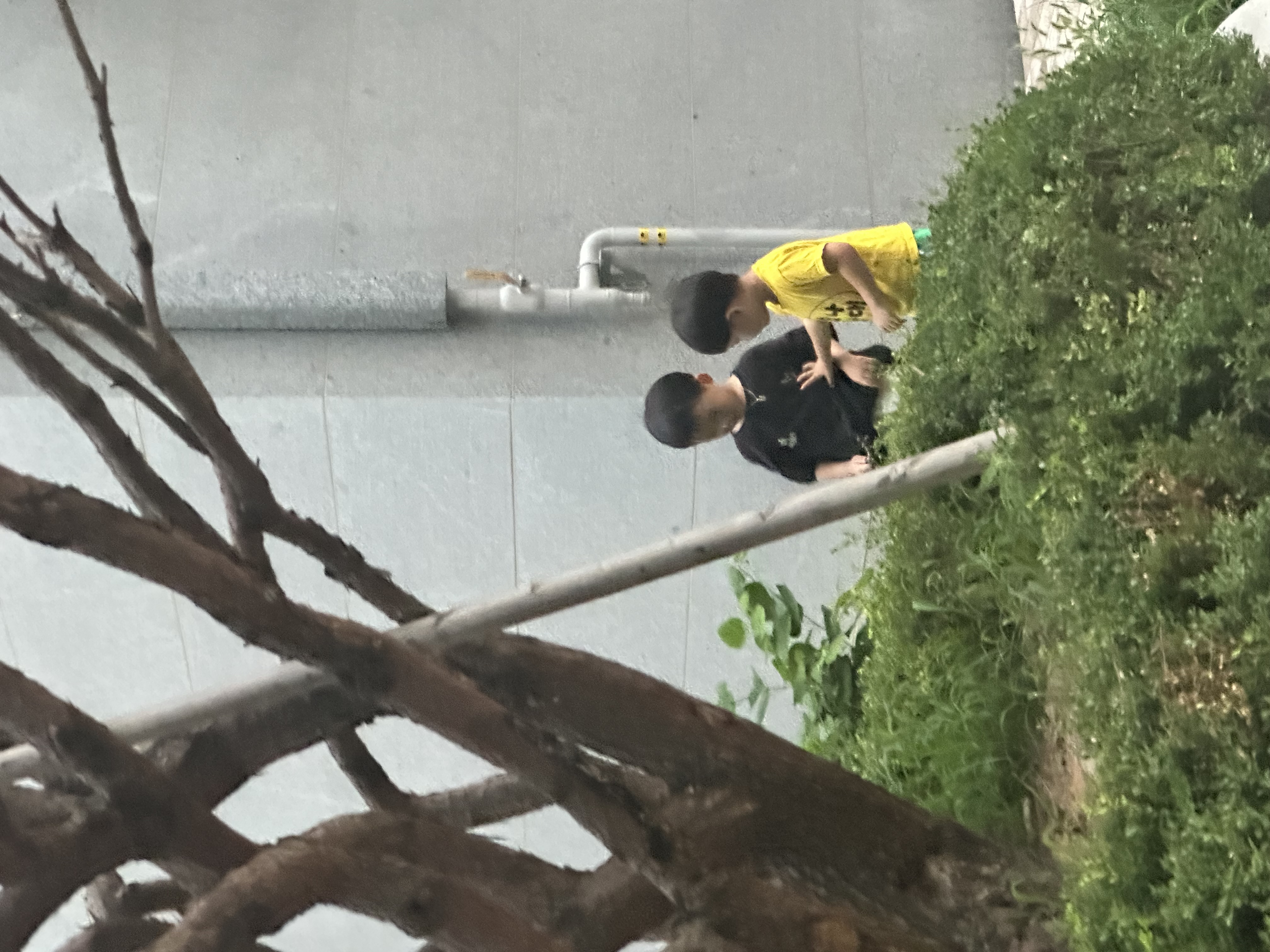 수풀 속을 골똘히 들여다보는 필름이와 곁을 지키는 친구 은서